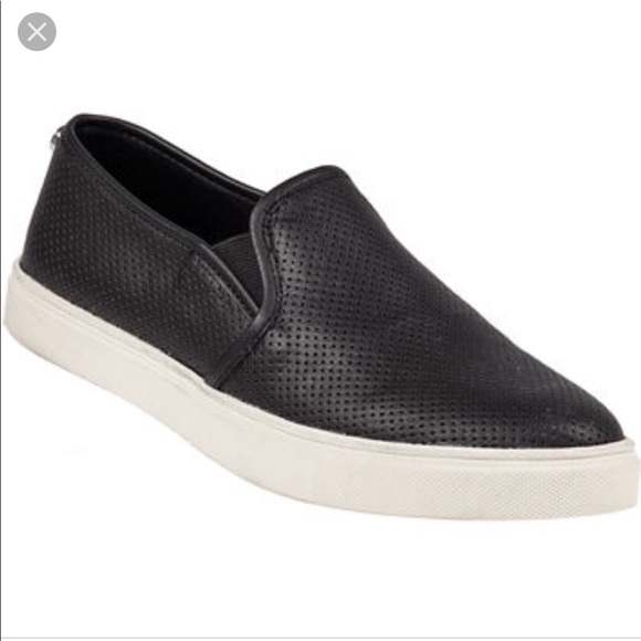 Steve Madden Shoes - 💥SALE💥😂Steve Madden Ezeke Slip On Sneaker 8